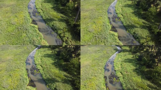 长长的蜿蜒的河流蜿蜒在绿色的森林旁边，航拍，无人机视图。欧洲，波兰自然生态系统状态，自然，乡村，农村