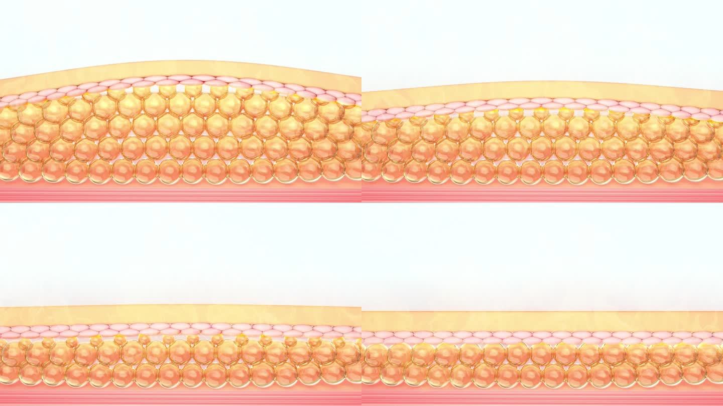 C4D细胞挤压