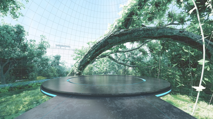 VR春天雨林360度全景4K