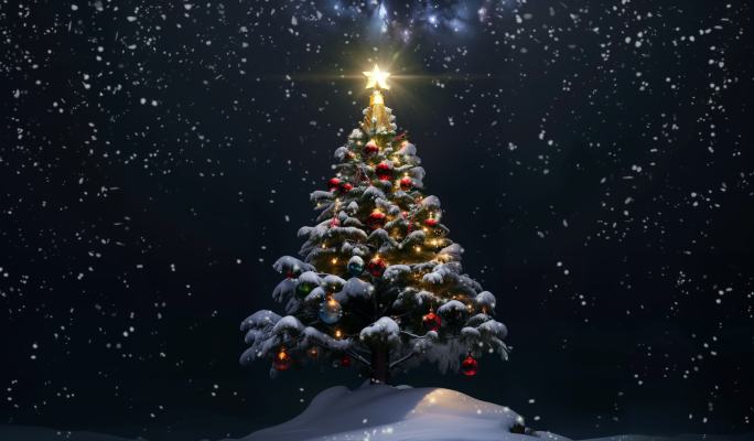 唯美雪夜圣诞树背景视频