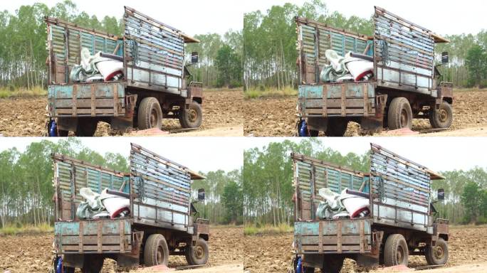 农民的车辆运送水稻种子种植