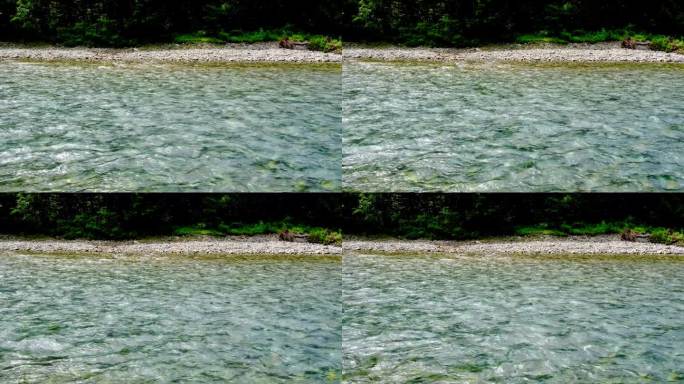 清澈的河水流淌，在上高知的阿祖萨河中，伴着声音