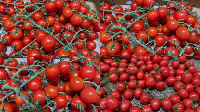 超市售卖的大堆圣女果 小西红柿