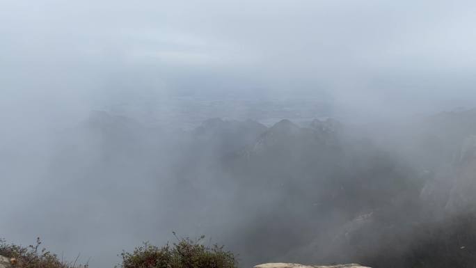 泰山云海