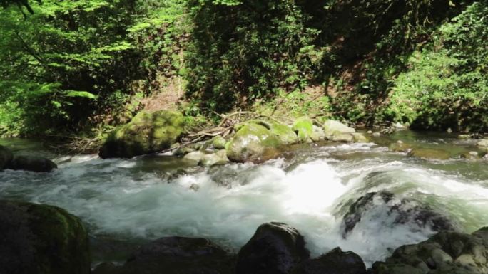 山野河野，绿意盎然的溪水环绕
