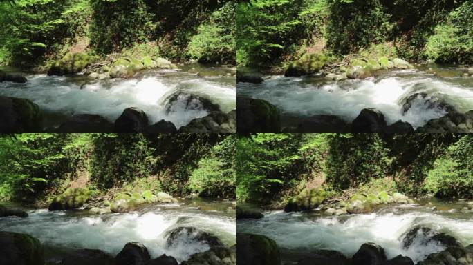 山野河野，绿意盎然的溪水环绕