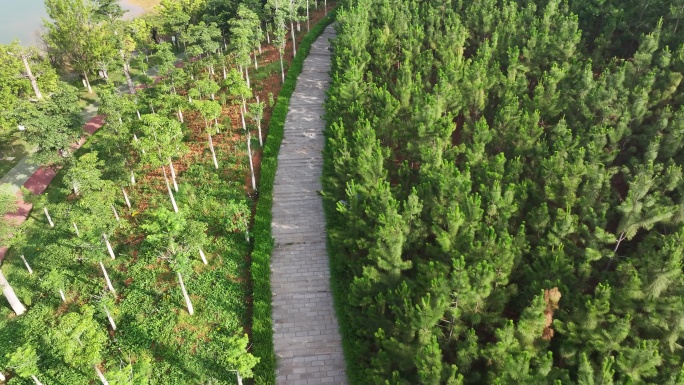 建水县五龙湖公园森林健身步道