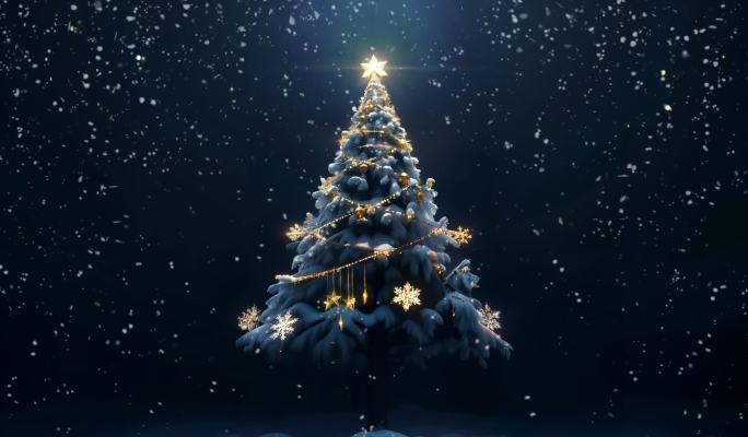 雪地圣诞树场景视频