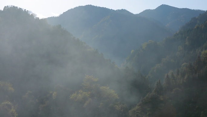 清晨的大山深山大雾山里浓密的雾气