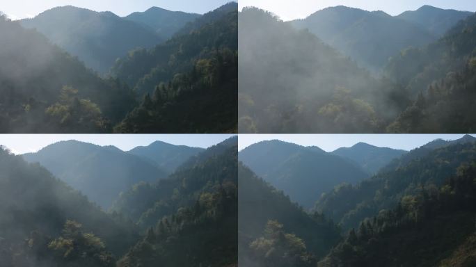 清晨的大山深山大雾山里浓密的雾气