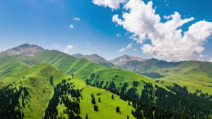新疆伊犁那拉提草原高山森林蓝天白云航拍