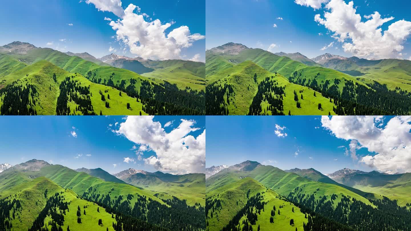 新疆伊犁那拉提草原高山森林蓝天白云航拍