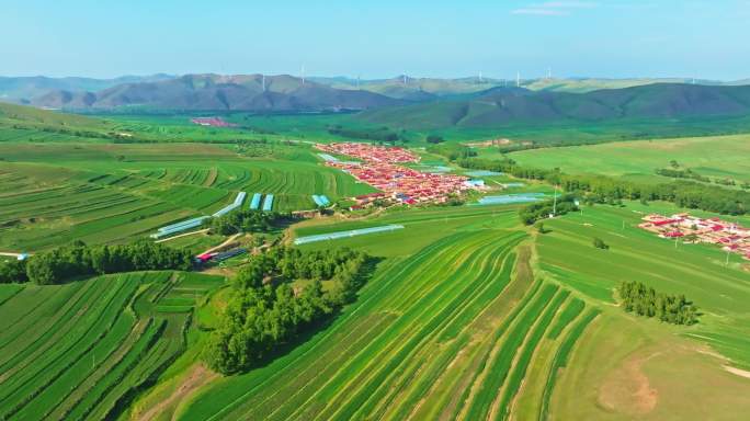 绿色大地 美丽田园 草原天路