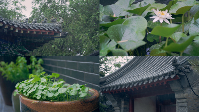 古镇小镇下雨游船江南水车古风国风屋檐