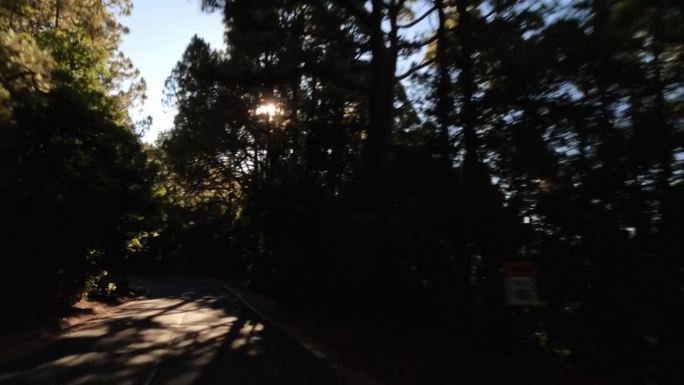 汽车POV在特内里费岛泰德公园的科罗娜森林中行驶