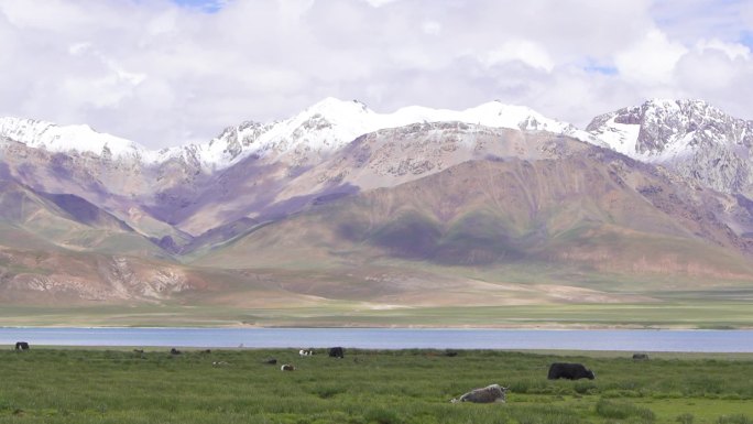 西藏高原 西藏雪山 雪山山顶