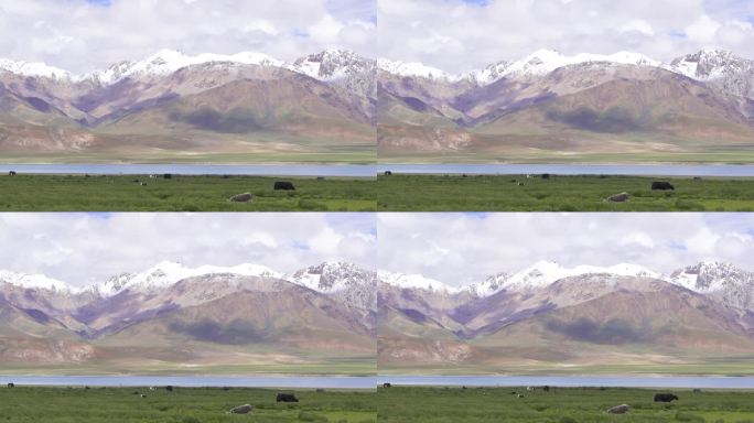 西藏高原 西藏雪山 雪山山顶