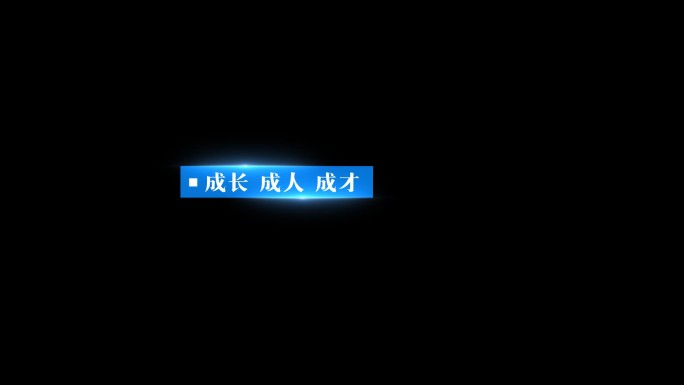 简洁蓝色商务风 左下角说明性 解释性文字