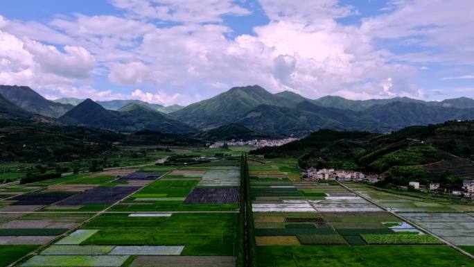 航拍乡村绿色稻田茶山茶园延时