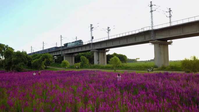 火车通过花海大桥