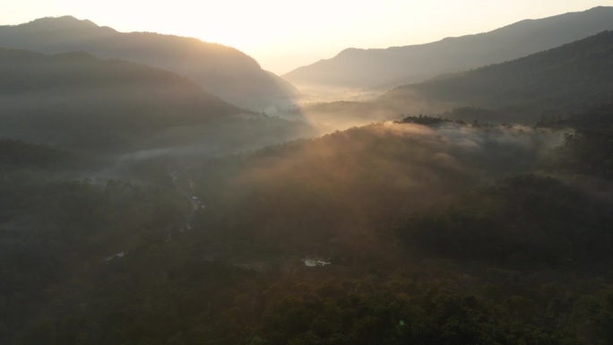 空中拍摄的薄雾之上的绿色森林日出时间在早晨