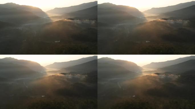 空中拍摄的薄雾之上的绿色森林日出时间在早晨