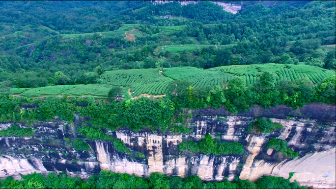 福建武夷山4k茶山航拍