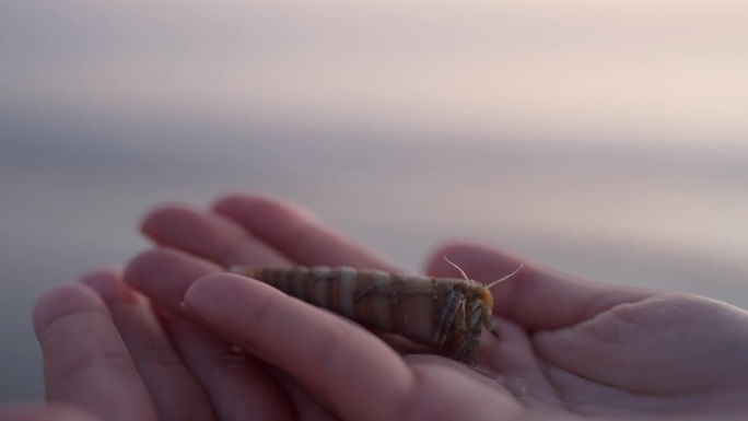 夕阳下漫步在海边的迷人女子。