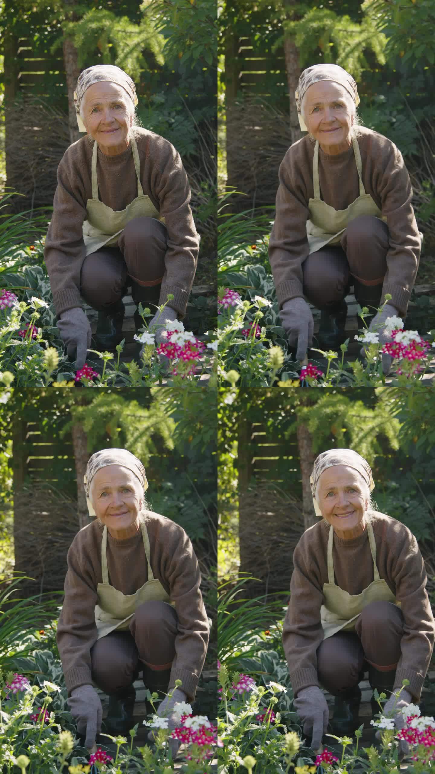 快乐的奶奶在花园里工作