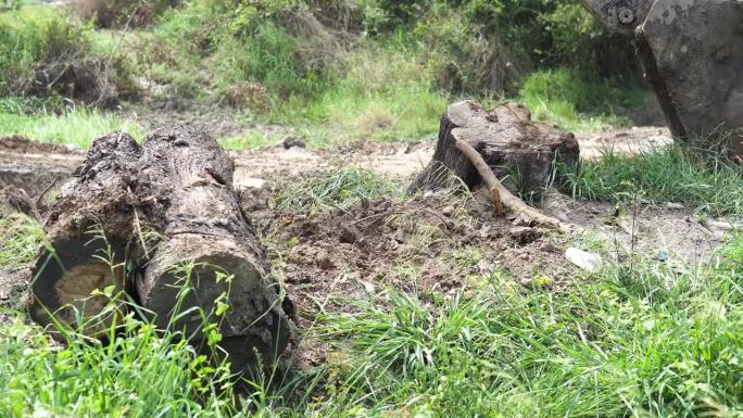 Makro挖树，挖树桩来调整地面以填满花园。摄于2023年6月7日，泰国Chokchai Nakho