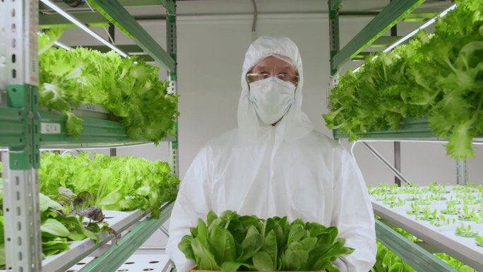 资深男科学家带着装有植物的箱子