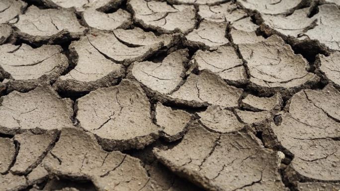 阳光和全球变暖导致地面开裂。由于恶劣的自然气候造成干旱，地面裂开了。