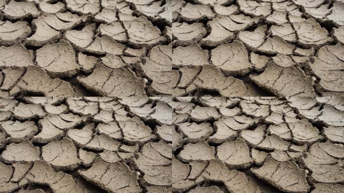阳光和全球变暖导致地面开裂。由于恶劣的自然气候造成干旱，地面裂开了。