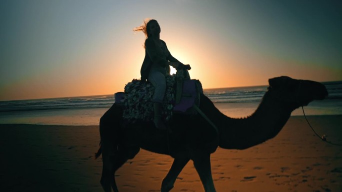 日落时分沙滩上骑骆驼的女子剪影