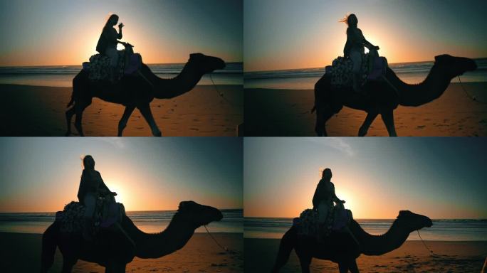 日落时分沙滩上骑骆驼的女子剪影