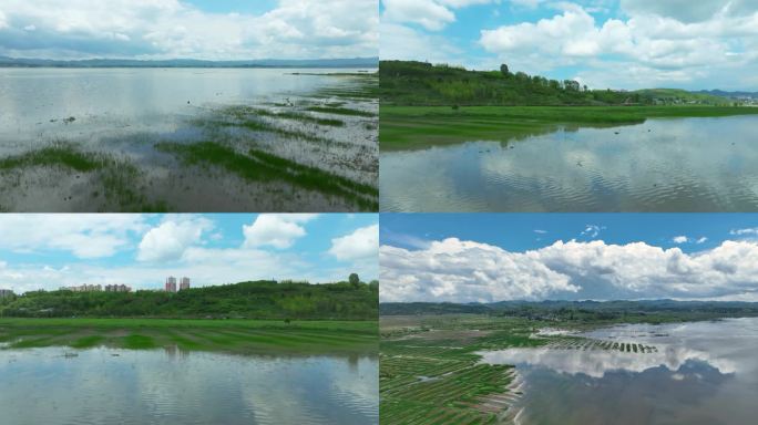 2023年7月威宁草海景区夏天景色