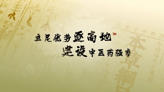 水墨中国风医药小标题文字