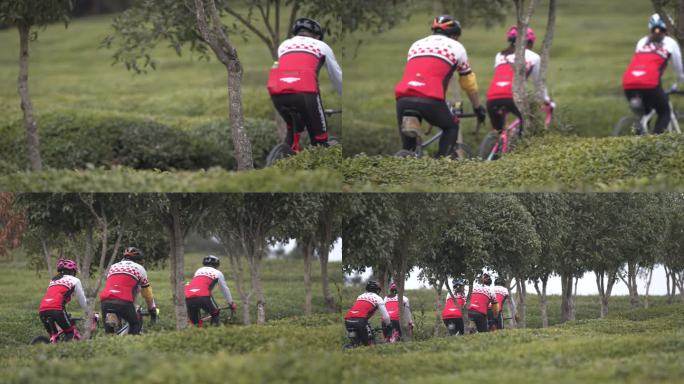 实拍茶园骑行绿色乡村