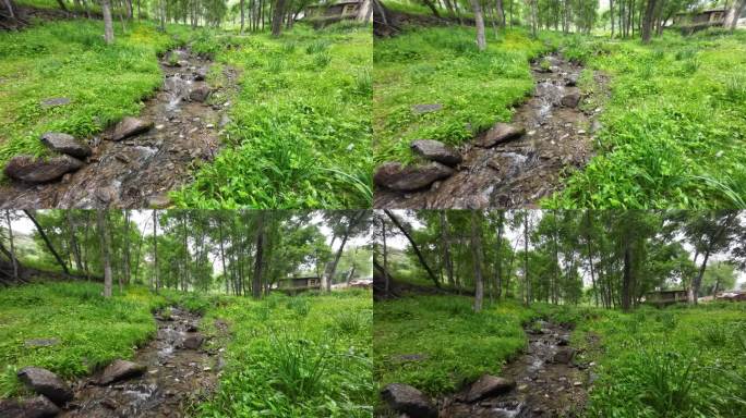 林间草地小溪流水