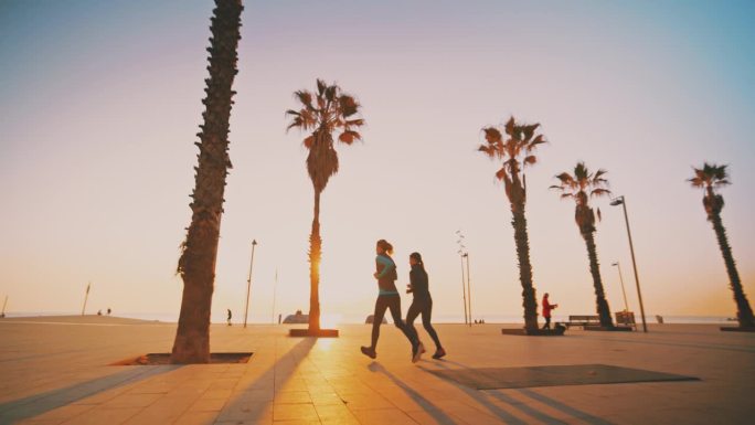 日出时，两个女人在海滩上的棕榈树间慢跑