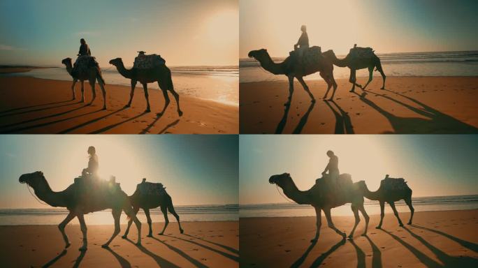 日落时海滩上骑骆驼的女子剪影