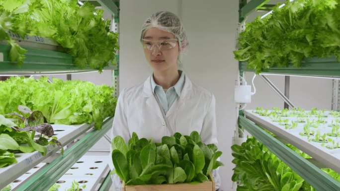 亚洲科学家携带装有植物的木箱