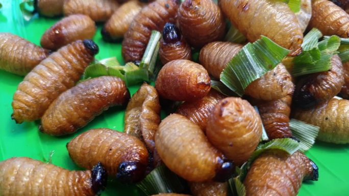 幼虫棕榈虫象鼻虫油炸肥虫小吃在东南亚市场销售的外来食品