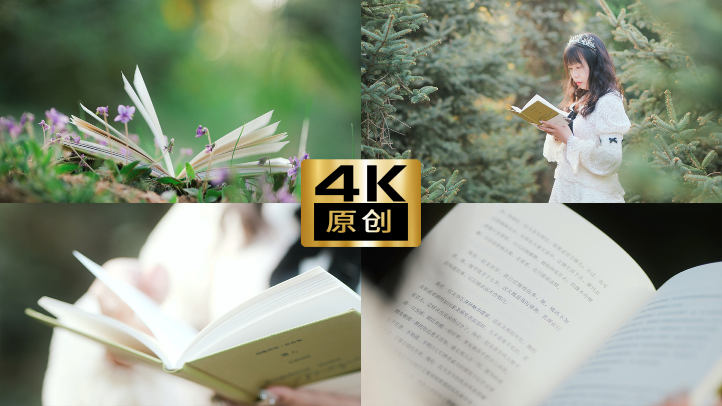 文艺女生夕阳下看书