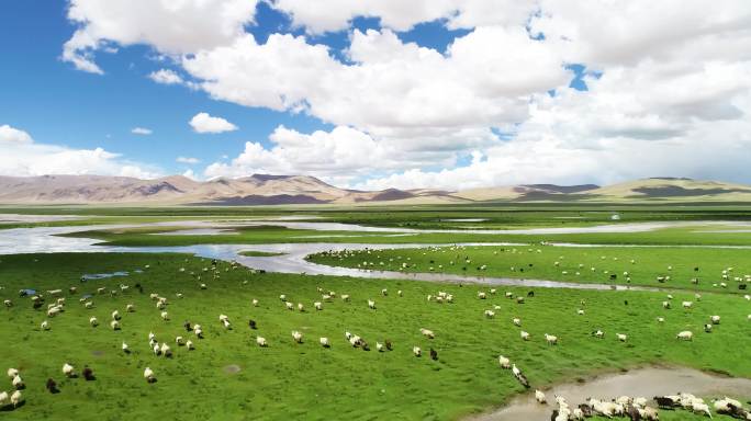 推进 游风景区 内蒙古自治区呼伦贝尔