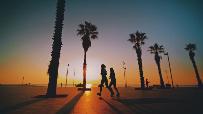 日落时分，两个女人在海滩上的棕榈树间慢跑。巴塞罗那。加泰罗尼亚