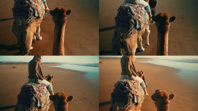 无忧无虑的女游客在导游的带领下在沙滩上骑骆驼