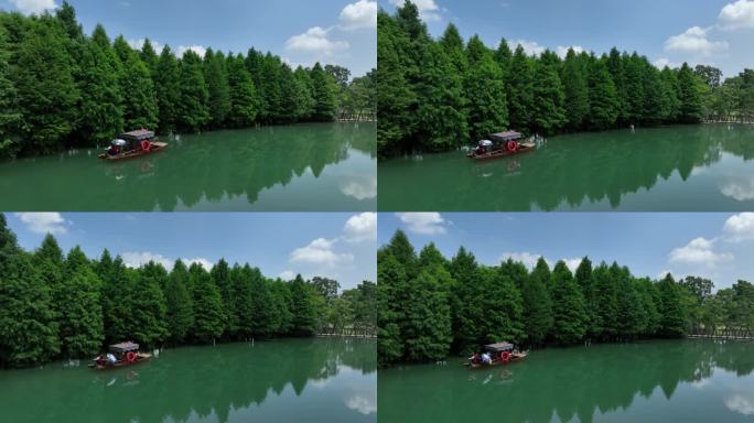 常州 新龙生态林 水上森林 游船