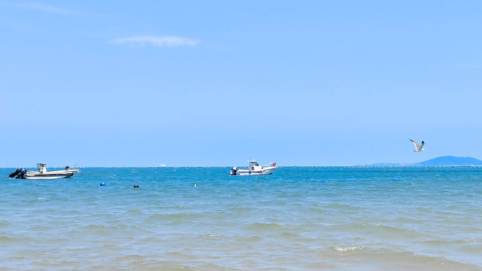 海鸥海水中起飞了