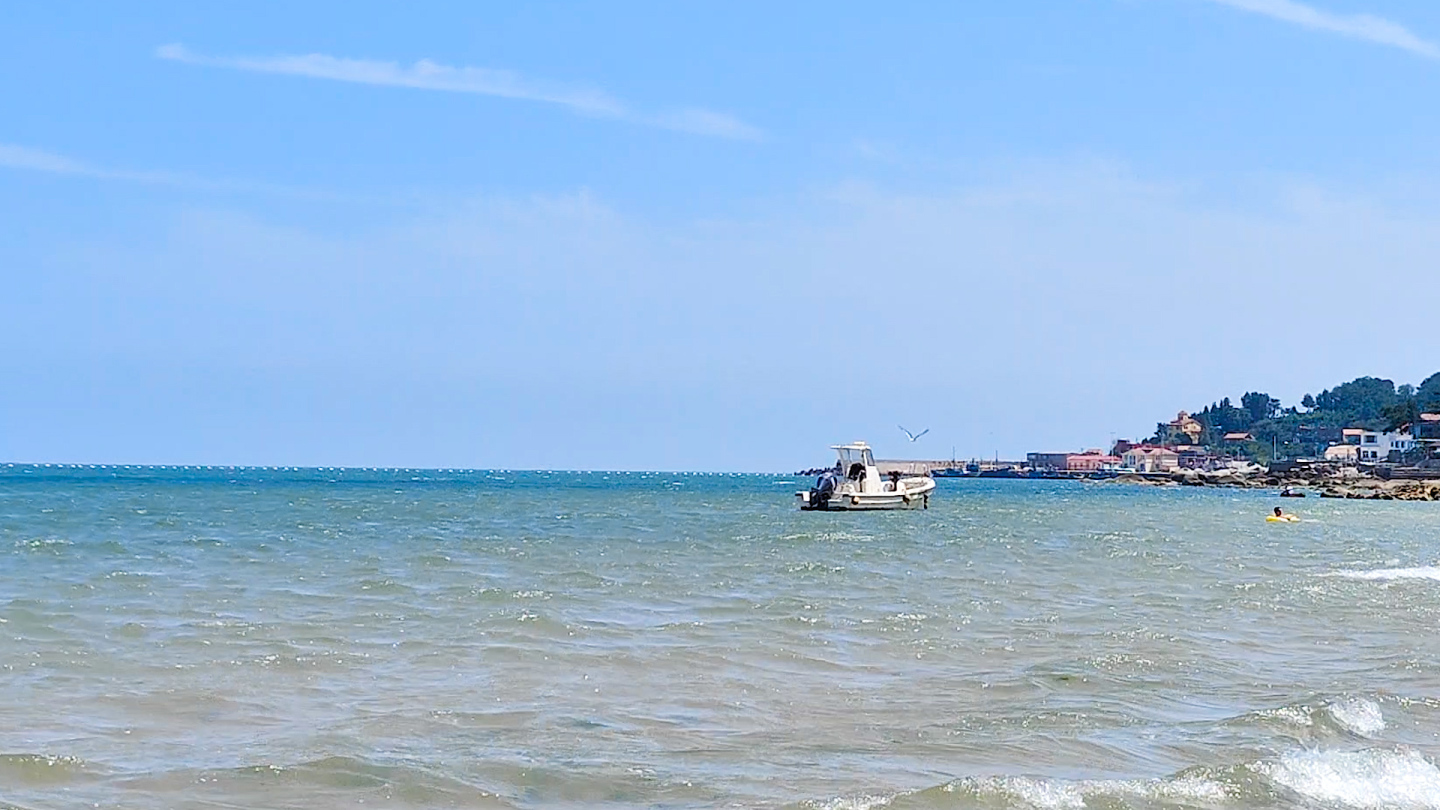 海鸥海水中起飞了